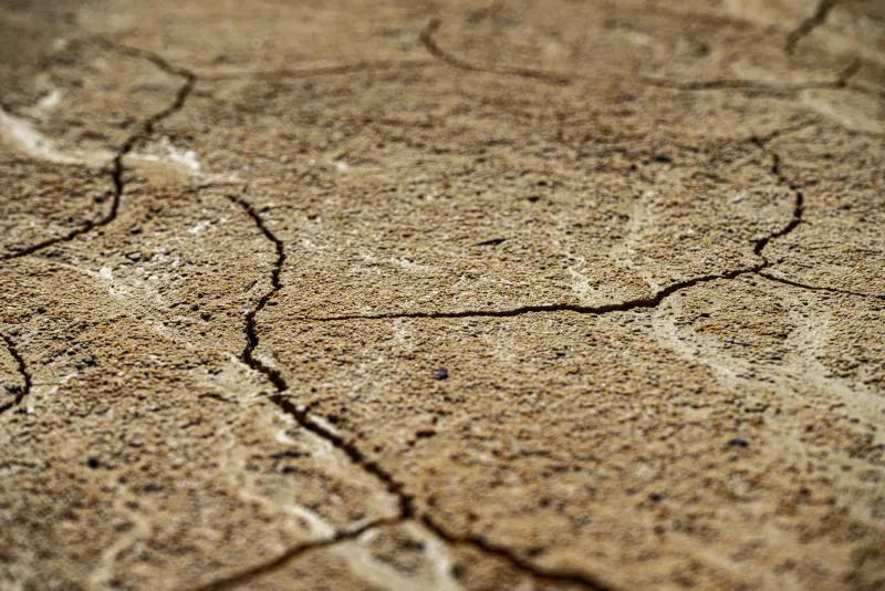 What's Leaking Into Your Lawn? The Environmental Side of DIY Vehicle Parking Nobody Talks About