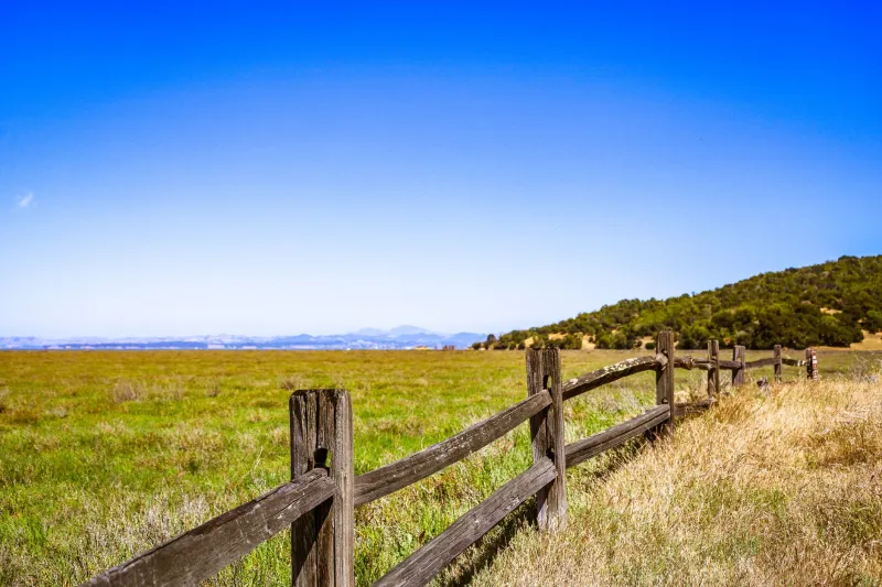 When the Property Line Becomes a Battle Line: What That 'Extra' Parking Spot Could Really Cost You